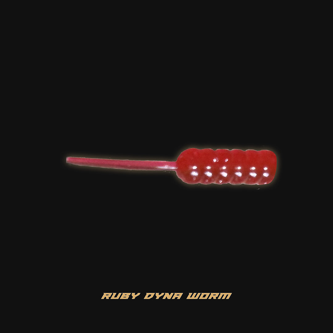 Dyna Worm