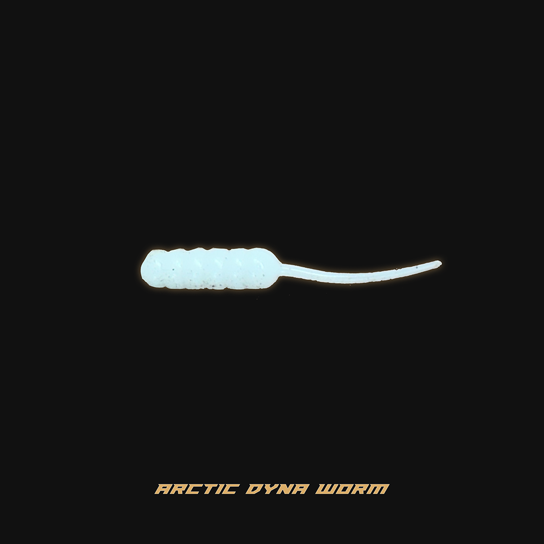 Dyna Worm